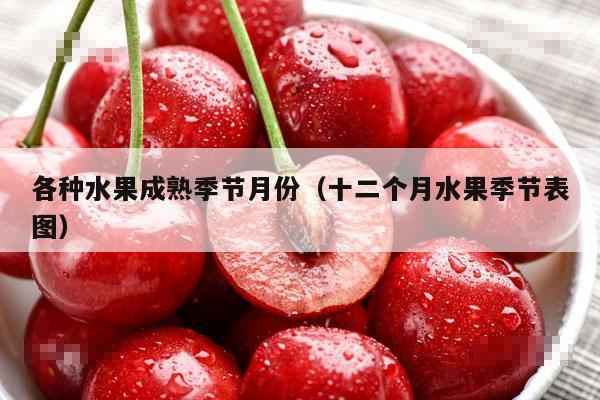 各种水果成熟季节月份（十二个月水果季节表图）