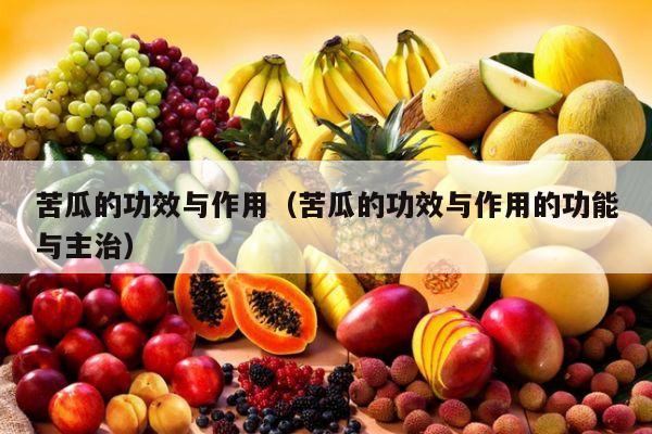 苦瓜的功效与作用（苦瓜的功效与作用的功能与主治）