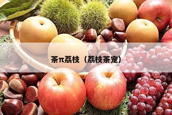 茶π荔枝（荔枝茶宠）