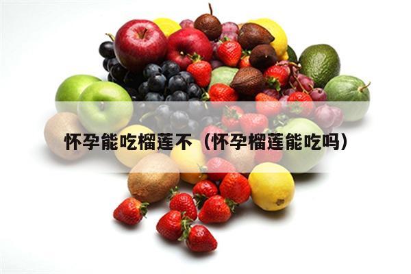 怀孕能吃榴莲不（怀孕榴莲能吃吗）