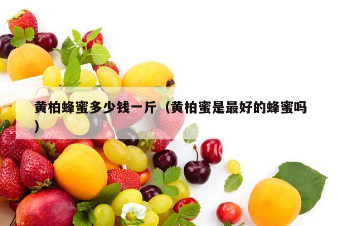 黄柏蜂蜜多少钱一斤（黄柏蜜是最好的蜂蜜吗）