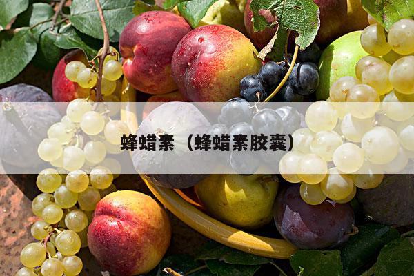 蜂蜡素（蜂蜡素胶囊）