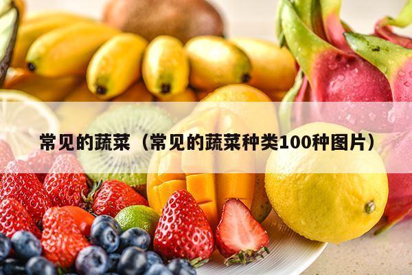 常见的蔬菜（常见的蔬菜种类100种图片）