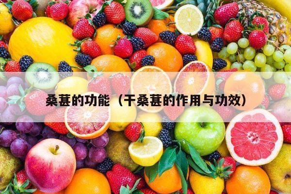 桑葚的功能（干桑葚的作用与功效）