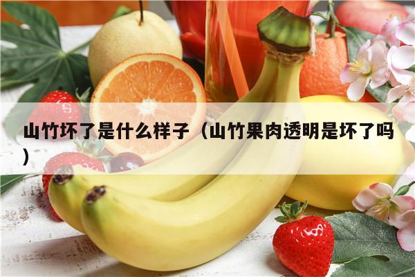 山竹坏了是什么样子（山竹果肉透明是坏了吗）