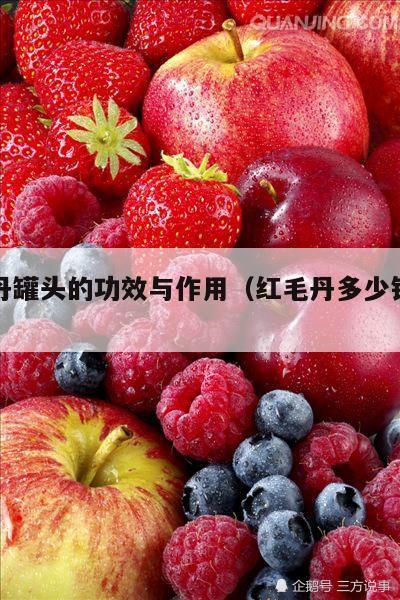 红毛丹罐头的功效与作用（红毛丹多少钱一箱）