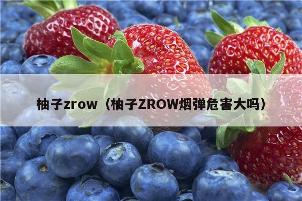 柚子zrow（柚子ZROW烟弹危害大吗）