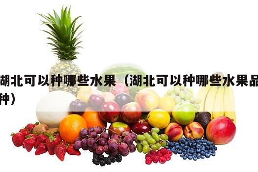 湖北可以种哪些水果（湖北可以种哪些水果品种）