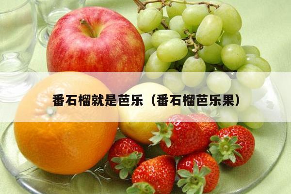 番石榴就是芭乐（番石榴芭乐果）