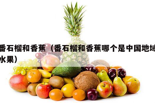 番石榴和香蕉（番石榴和香蕉哪个是中国地域水果）