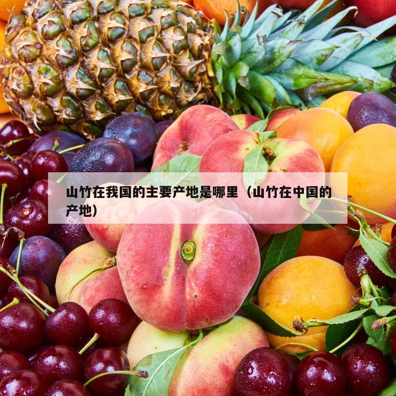 山竹在我国的主要产地是哪里（山竹在中国的产地）