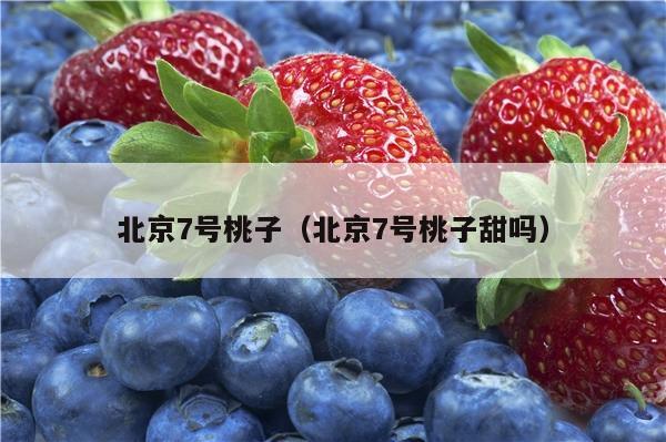 北京7号桃子（北京7号桃子甜吗）