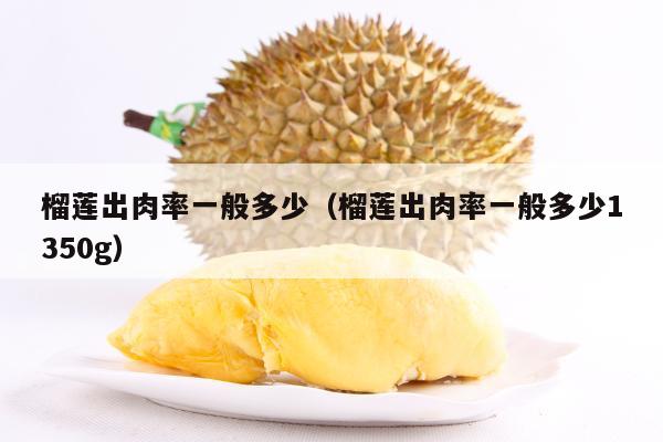 榴莲出肉率一般多少（榴莲出肉率一般多少1350g）