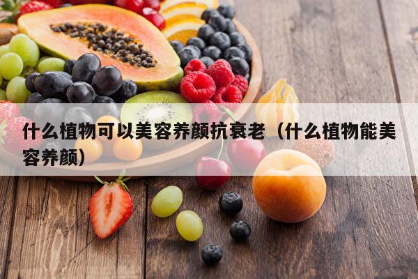 什么植物可以美容养颜抗衰老（什么植物能美容养颜）