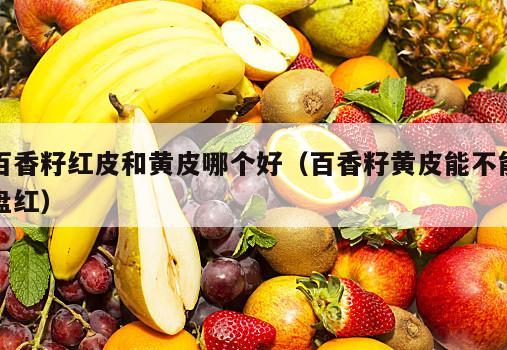百香籽红皮和黄皮哪个好（百香籽黄皮能不能盘红）