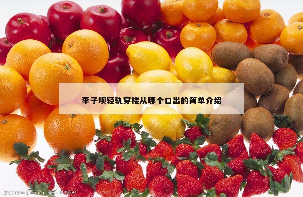 李子坝轻轨穿楼从哪个口出的简单介绍