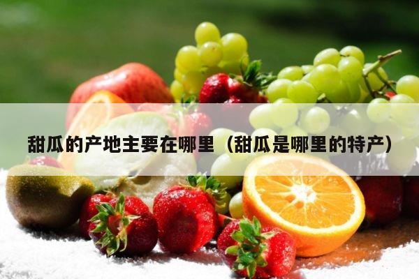 甜瓜的产地主要在哪里（甜瓜是哪里的特产）
