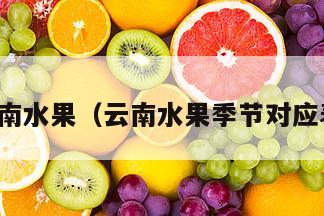 云南水果（云南水果季节对应表）