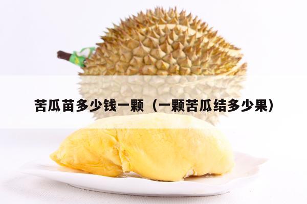 苦瓜苗多少钱一颗（一颗苦瓜结多少果）