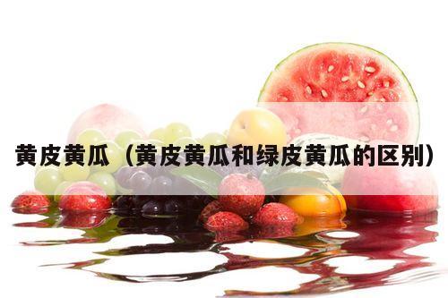 黄皮黄瓜（黄皮黄瓜和绿皮黄瓜的区别）