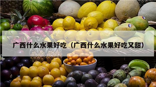 广西什么水果好吃（广西什么水果好吃又甜）