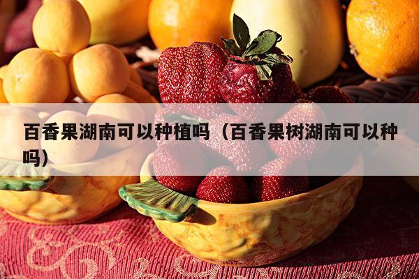 百香果湖南可以种植吗（百香果树湖南可以种吗）