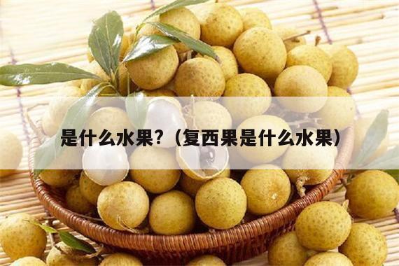 是什么水果?（复西果是什么水果）