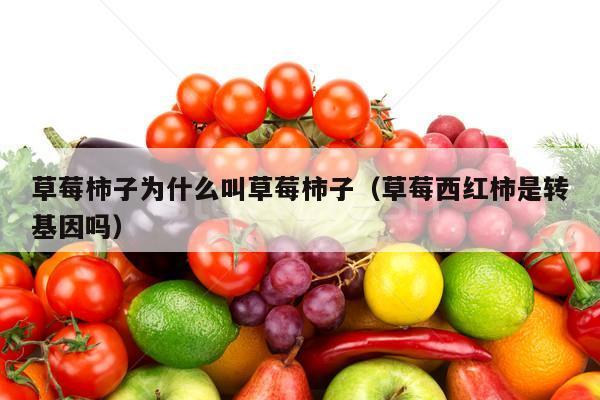 草莓柿子为什么叫草莓柿子（草莓西红柿是转基因吗）