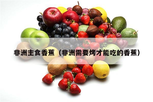 非洲主食香蕉（非洲需要烤才能吃的香蕉）