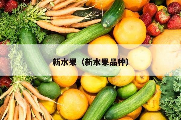新水果（新水果品种）