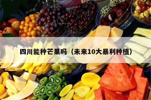 四川能种芒果吗（未来10大暴利种植）