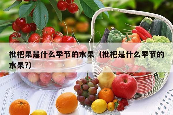 枇杷果是什么季节的水果（枇杷是什么季节的水果?）