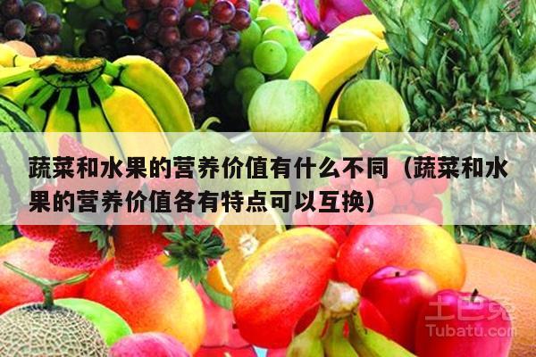 蔬菜和水果的营养价值有什么不同（蔬菜和水果的营养价值各有特点可以互换）