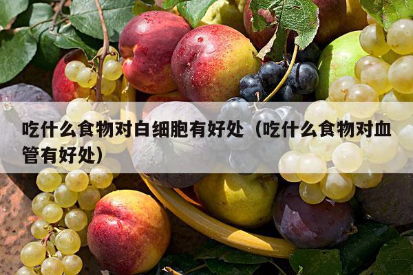 吃什么食物对白细胞有好处（吃什么食物对血管有好处）