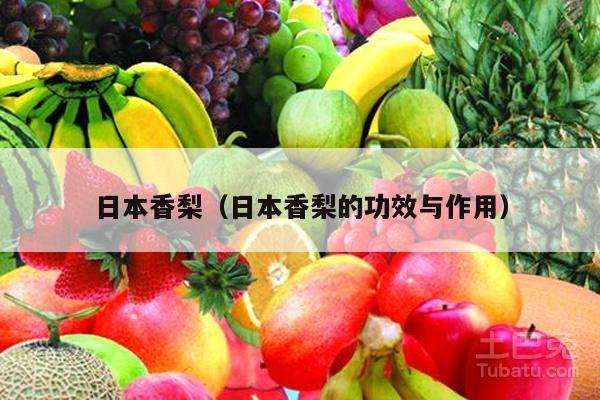 日本香梨（日本香梨的功效与作用）