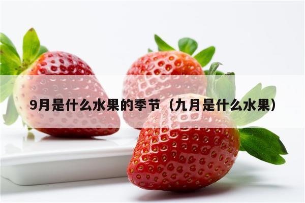 9月是什么水果的季节（九月是什么水果）