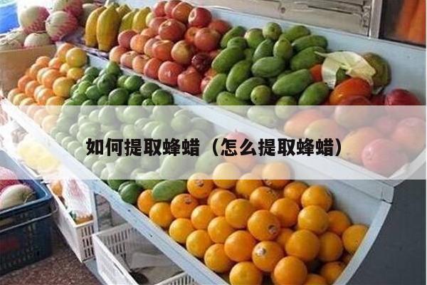 如何提取蜂蜡（怎么提取蜂蜡）