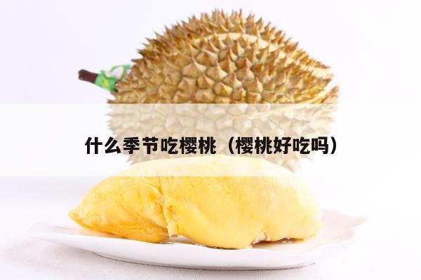 什么季节吃樱桃（樱桃好吃吗）