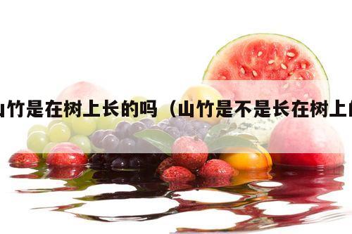 山竹是在树上长的吗（山竹是不是长在树上的）
