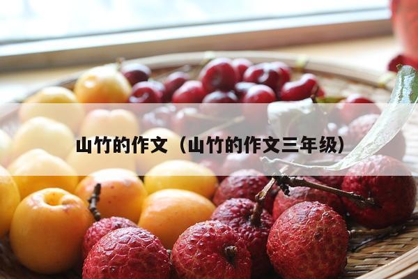 山竹的作文（山竹的作文三年级）
