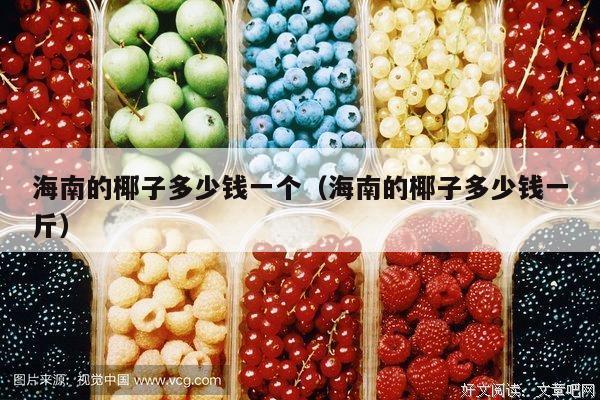 海南的椰子多少钱一个（海南的椰子多少钱一斤）