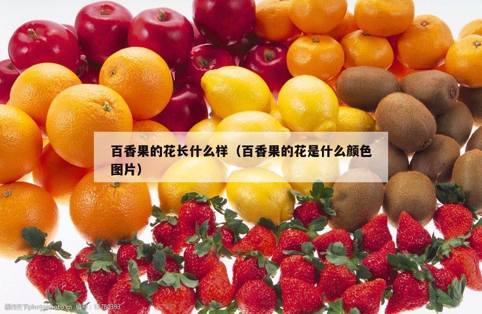 百香果的花长什么样（百香果的花是什么颜色图片）