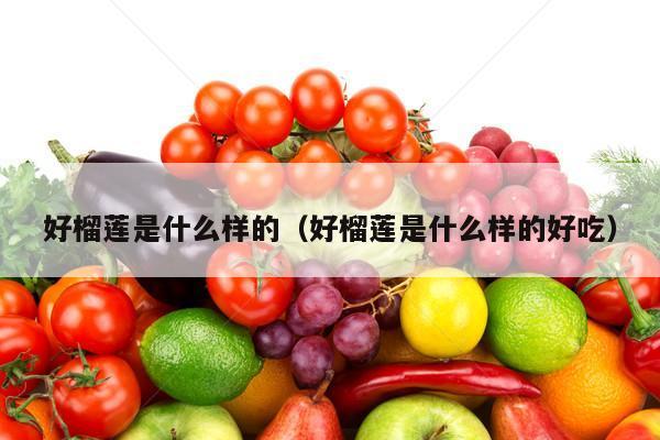 好榴莲是什么样的（好榴莲是什么样的好吃）