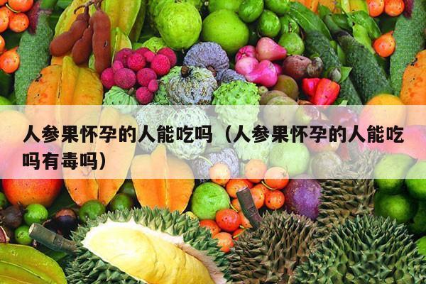 人参果怀孕的人能吃吗（人参果怀孕的人能吃吗有毒吗）