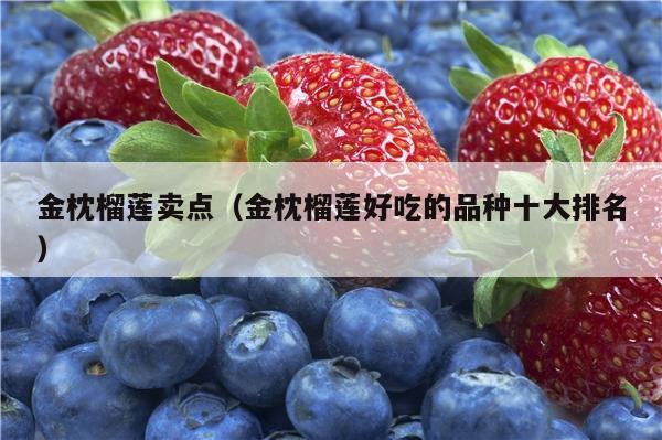 金枕榴莲卖点（金枕榴莲好吃的品种十大排名）
