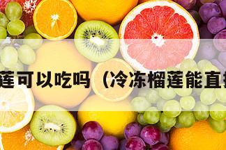 冰冻榴莲可以吃吗（冷冻榴莲能直接吃吗）