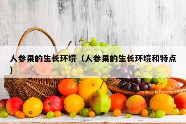 人参果的生长环境（人参果的生长环境和特点）