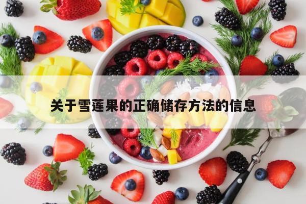 关于雪莲果的正确储存方法的信息