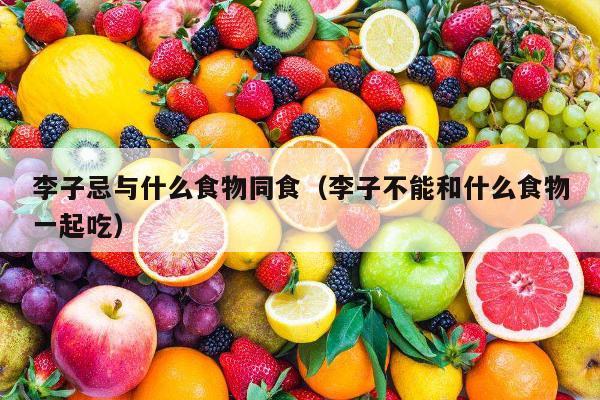 李子忌与什么食物同食（李子不能和什么食物一起吃）