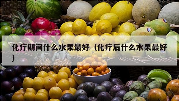 化疗期间什么水果最好（化疗后什么水果最好）